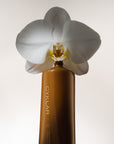 Vanilla Verve Nutrient-Rich Body Cream