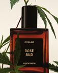 rose bud perfume oil