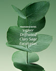 cyklar core vetiver fragrance notes