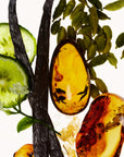 vanilla verve fragrance ingredients
