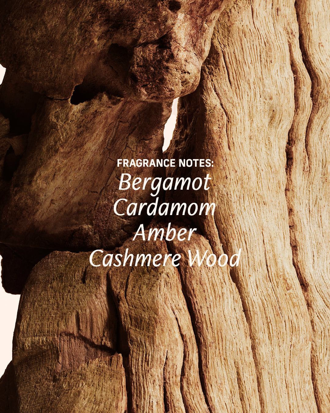 Sacred Santal fragrance notes