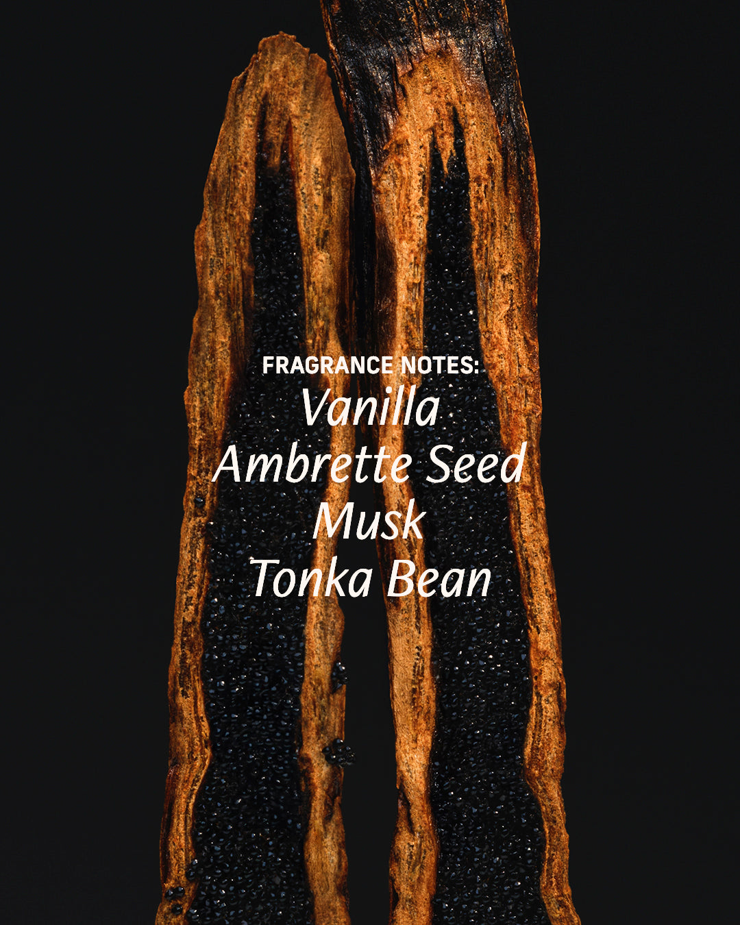 vanilla verve fragrance notes