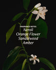 naked neroli fragrance notes