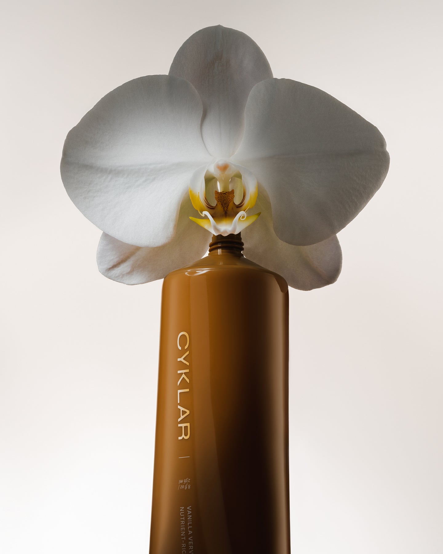 vanilla verve body cream