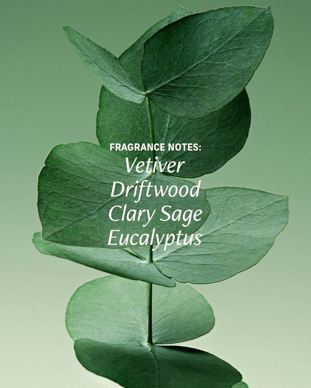 cyklar core vetiver fragrance notes