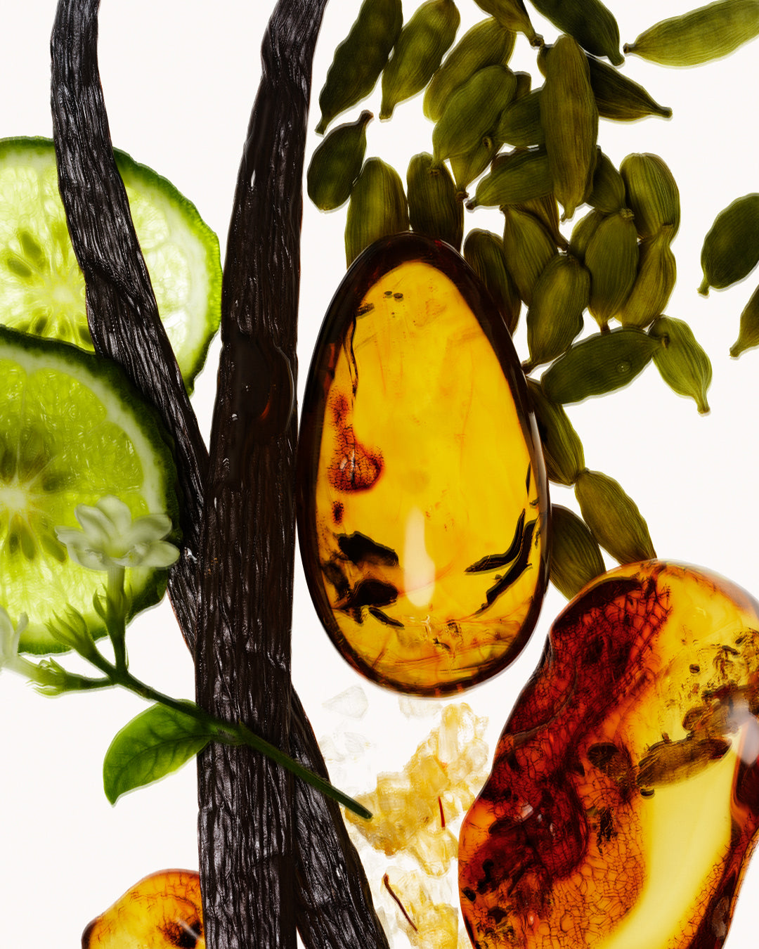 vanilla verve fragrance ingredients