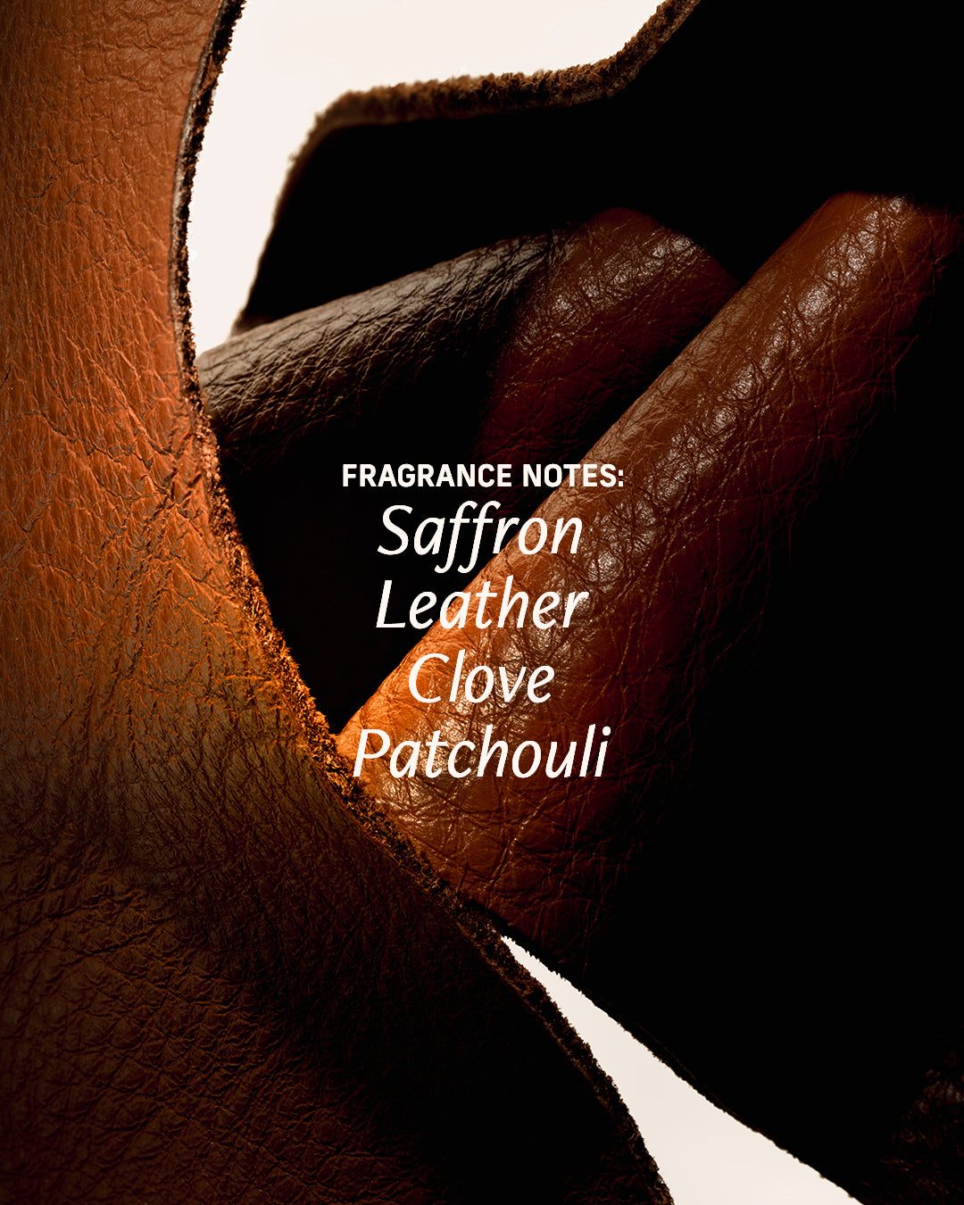 Lover's Leather fragrance notes