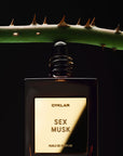 Sex Musk Perfume Oil