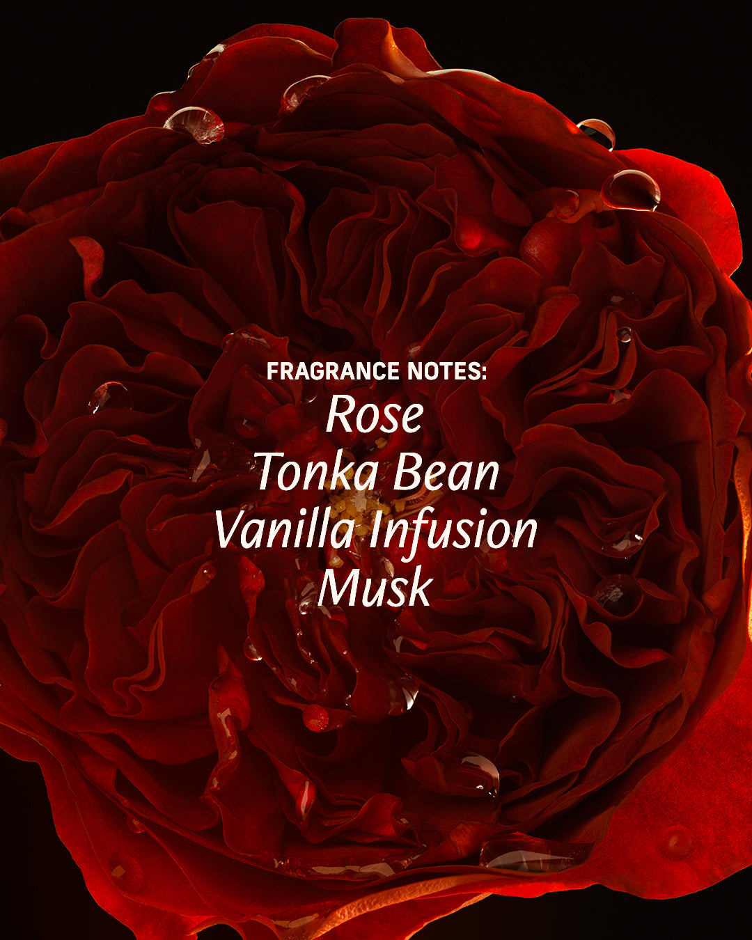 Sex Musk fragrance notes