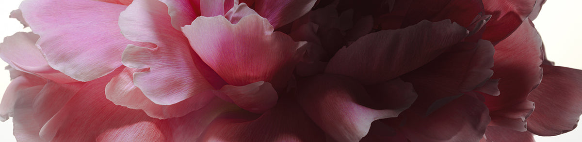 Our Fragrance Philosophy